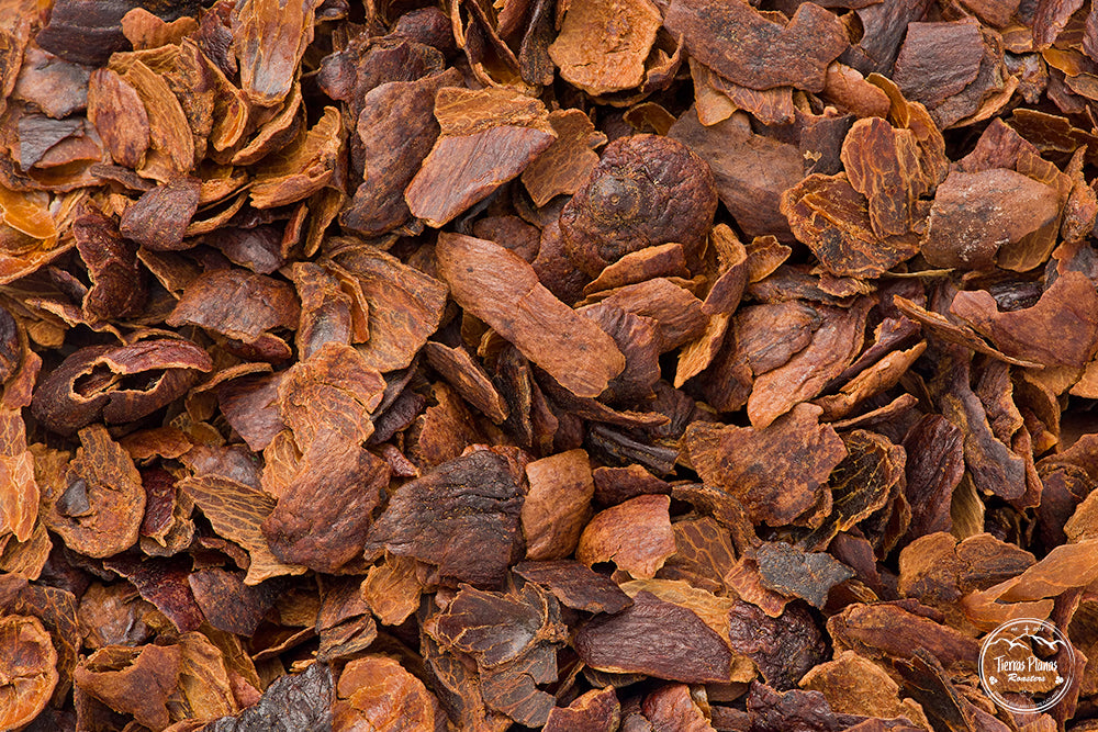 cascara coffee