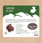 Guatemala – ALMA
