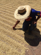 Colombia Rojas
