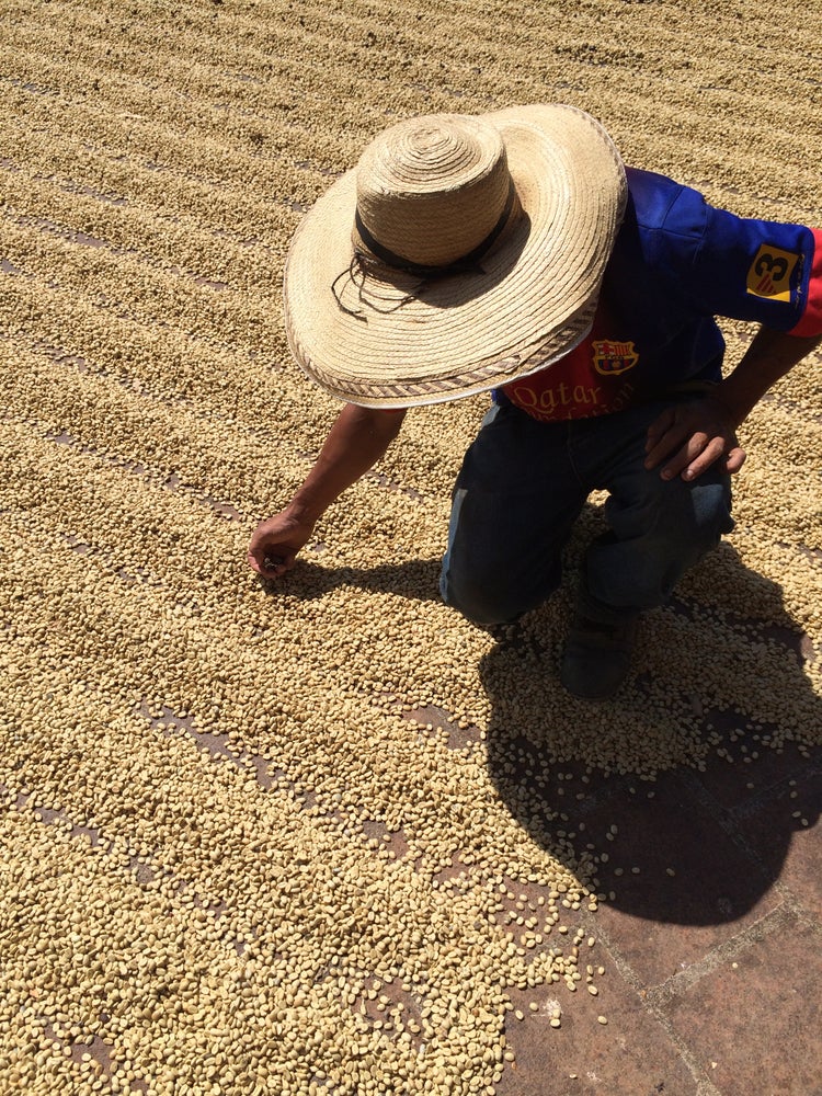 Colombia Rojas