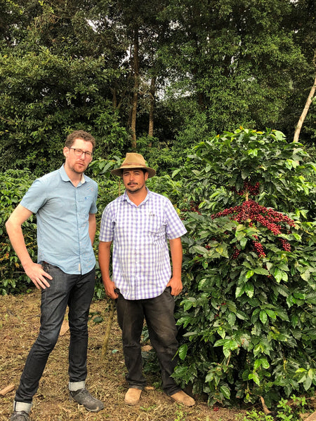 Honduras Coffee Farmer Hernan Castro standing next to a coffee tree highlighting the stems of red ripe coffee cherries.  Picture by StoneX Specialty.