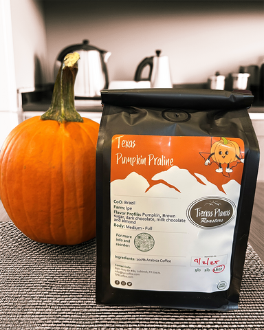 Pumpkin Praline