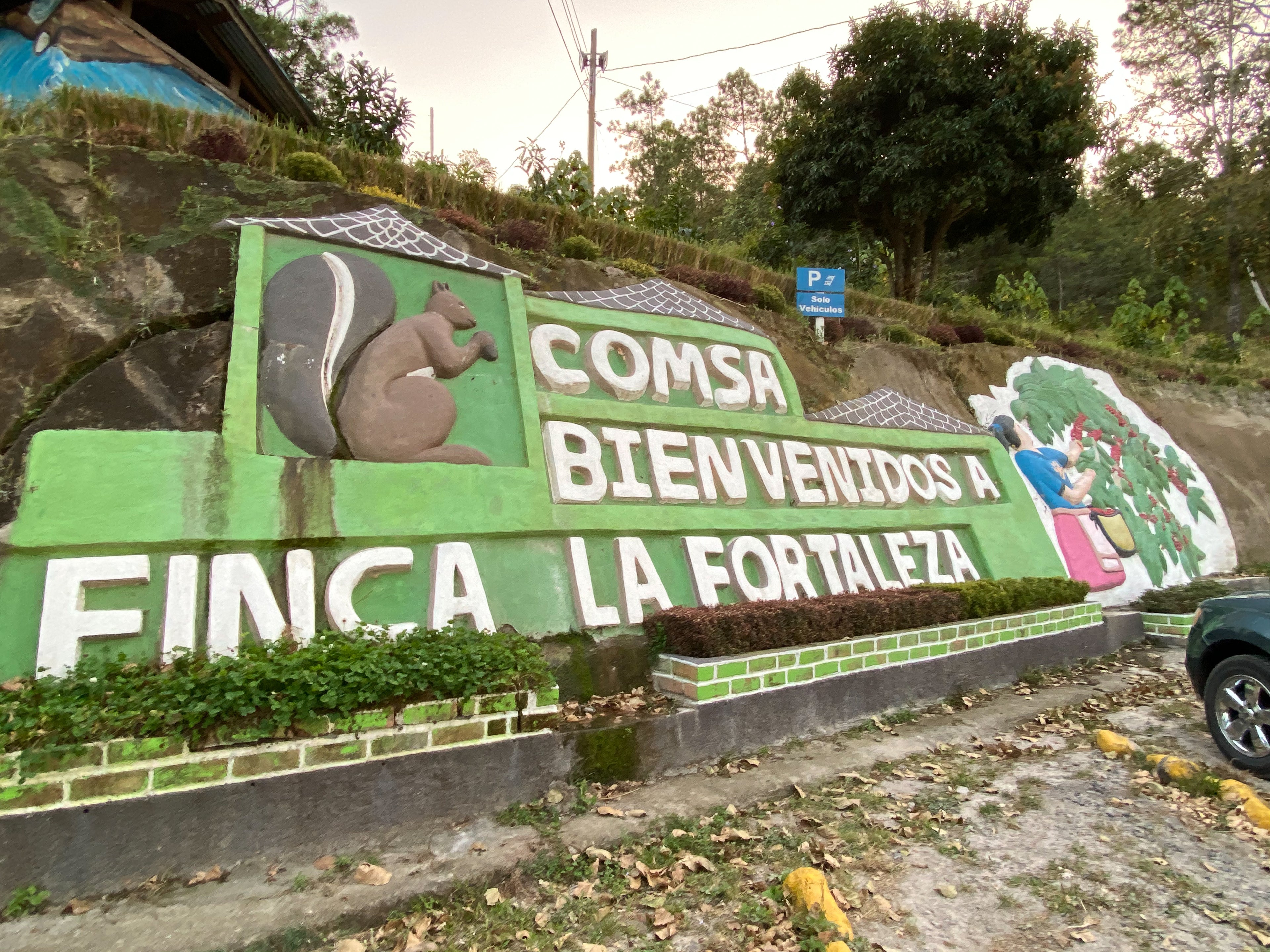 TPR - WS Honduras COMSA