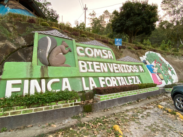 Honduras COMSA (2021)