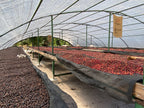 Honduras COMSA