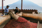 Guatemala – ALMA