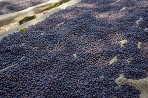Ethiopia Limu