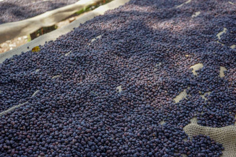 Ethiopia Limu