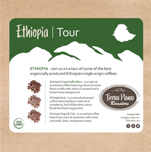 Ethiopian Tour